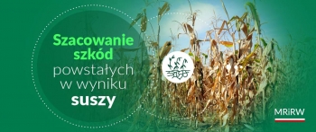 Szkody powstae w wyniku suszy – pomoc dla producentw rolnych