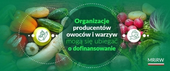 Wsparcie dla producentw owocw i warzyw – rozpocz si nabr wnioskw